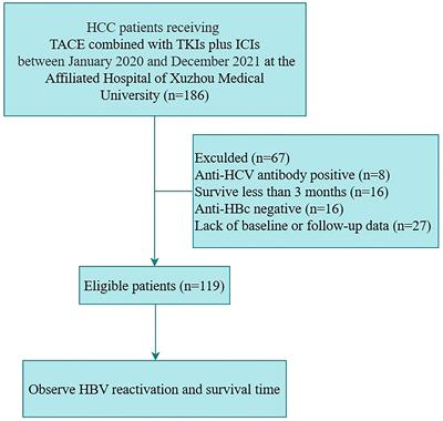 Frontiers | HBV Reactivation And Its Effect On Survival In HBV-related ...